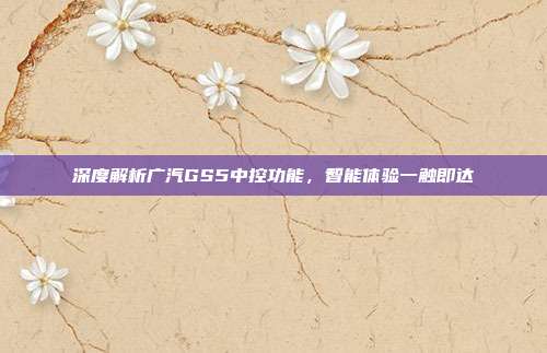 深度解析广汽GS5中控功能，智能体验一触即达