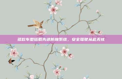 多款车型搭载先进防撞系统，安全驾驶从此无忧