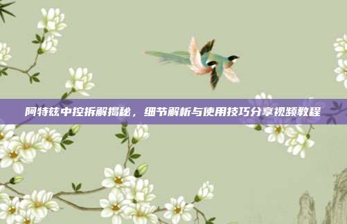 阿特兹中控拆解揭秘，细节解析与使用技巧分享视频教程