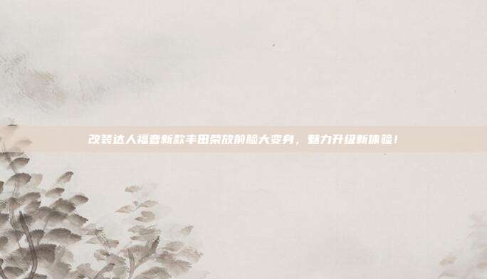 改装达人福音新款丰田荣放前脸大变身，魅力升级新体验！