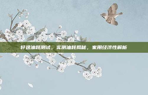 轩逸油耗测试，实测油耗揭秘，家用经济性解析