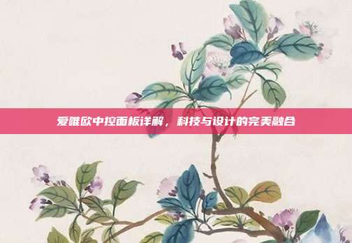 爱唯欧中控面板详解，科技与设计的完美融合