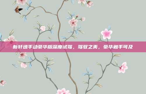 新轩逸手动豪华版深度试驾，驾驭之美，豪华触手可及
