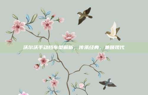 沃尔沃手动挡车型解析，传承经典，兼顾现代