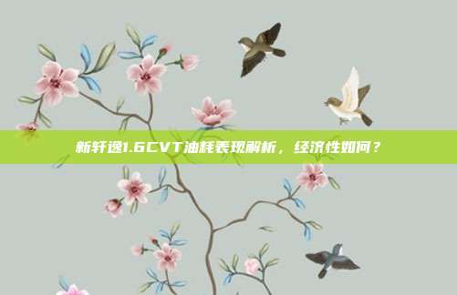 新轩逸1.6CVT油耗表现解析，经济性如何？