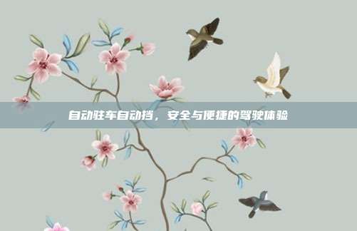 自动驻车自动挡，安全与便捷的驾驶体验