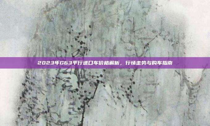 2023年G63平行进口车价格解析，行情走势与购车指南