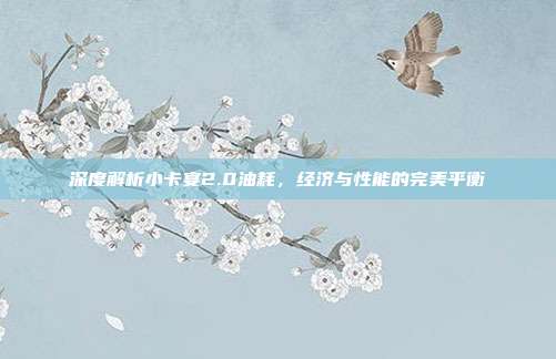 深度解析小卡宴2.0油耗，经济与性能的完美平衡