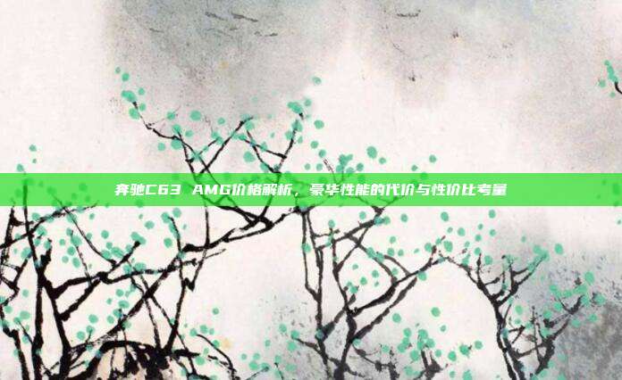 奔驰C63 AMG价格解析，豪华性能的代价与性价比考量