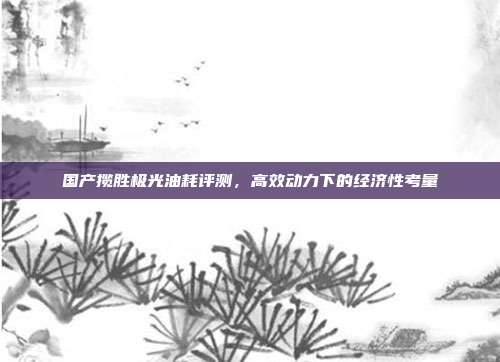 国产揽胜极光油耗评测，高效动力下的经济性考量