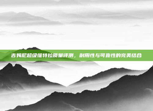 吉姆尼超级维特拉质量评测，耐用性与可靠性的完美结合