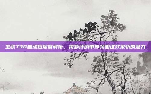 宝骏730自动挡深度解析，视频评测带你领略这款家轿的魅力