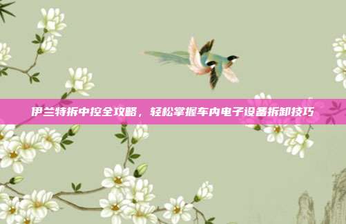 伊兰特拆中控全攻略，轻松掌握车内电子设备拆卸技巧