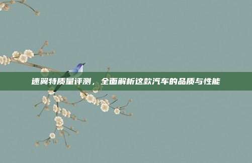 速翼特质量评测，全面解析这款汽车的品质与性能