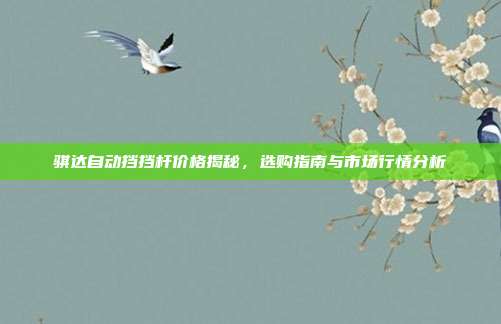 骐达自动挡挡杆价格揭秘，选购指南与市场行情分析