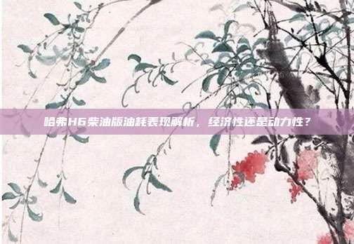 哈弗H6柴油版油耗表现解析，经济性还是动力性？