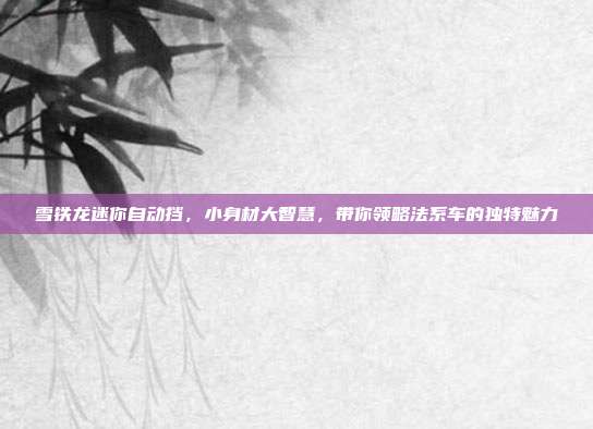 雪铁龙迷你自动挡，小身材大智慧，带你领略法系车的独特魅力