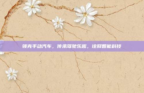 领克手动汽车，传承驾驶乐趣，诠释智能科技