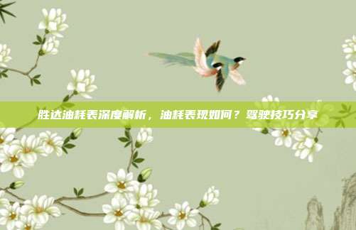 胜达油耗表深度解析，油耗表现如何？驾驶技巧分享