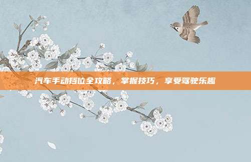汽车手动挡位全攻略，掌握技巧，享受驾驶乐趣