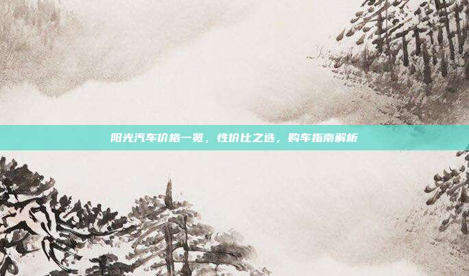 阳光汽车价格一览，性价比之选，购车指南解析