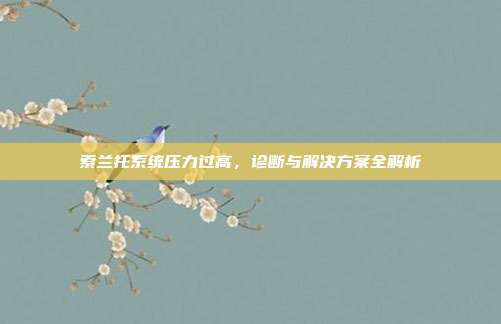 索兰托系统压力过高，诊断与解决方案全解析