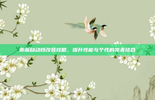 雨燕自动挡改装攻略，提升性能与个性的完美结合