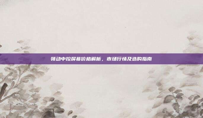 领动中控屏幕价格解析，市场行情及选购指南