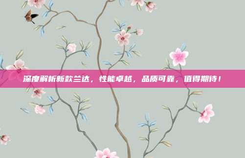 深度解析新款兰达，性能卓越，品质可靠，值得期待！