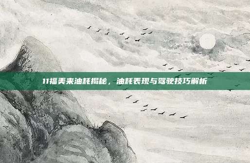 11福美来油耗揭秘，油耗表现与驾驶技巧解析