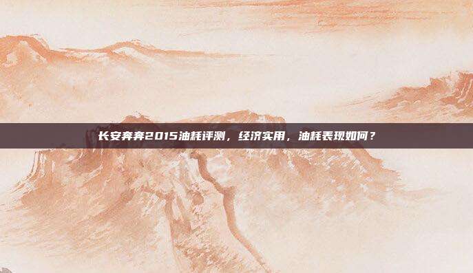 长安奔奔2015油耗评测，经济实用，油耗表现如何？