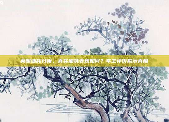 英朗油耗分析，真实油耗表现如何？车主评价揭示真相