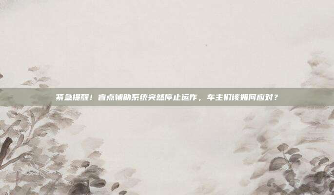 紧急提醒！盲点辅助系统突然停止运作，车主们该如何应对？