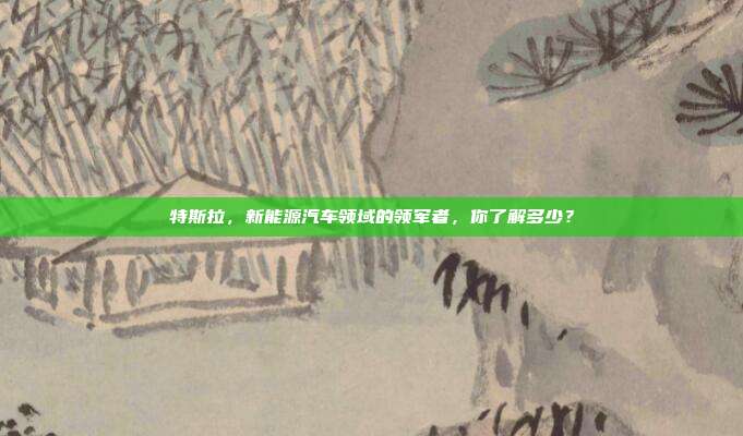 特斯拉，新能源汽车领域的领军者，你了解多少？