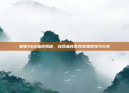 宝骏560油耗揭秘，综合油耗表现及驾驶技巧分享