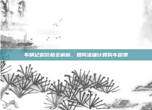 车辆记税价格全解析，如何准确计算购车税费