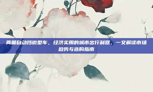 两厢自动挡微型车，经济实用的城市出行利器，一文解读市场趋势与选购指南
