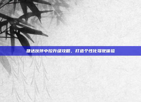 捷达伙伴中控升级攻略，打造个性化驾驶体验