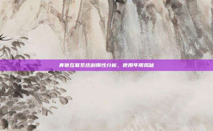 奔驰互联系统耐用性分析，使用年限揭秘