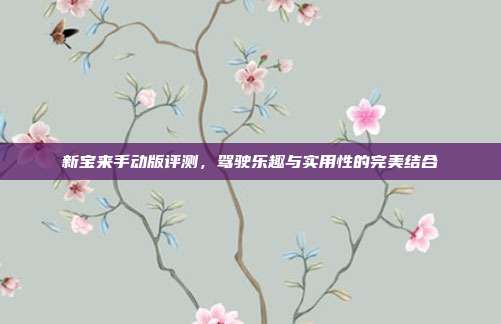 新宝来手动版评测，驾驶乐趣与实用性的完美结合