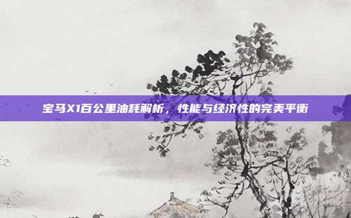 宝马X1百公里油耗解析，性能与经济性的完美平衡