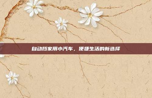 自动挡家用小汽车，便捷生活的新选择