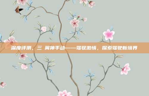 深度评测，三夌翼神手动——驾驭激情，探索驾驶新境界
