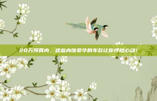20万预算内，这些内饰豪华的车款让你怦然心动！