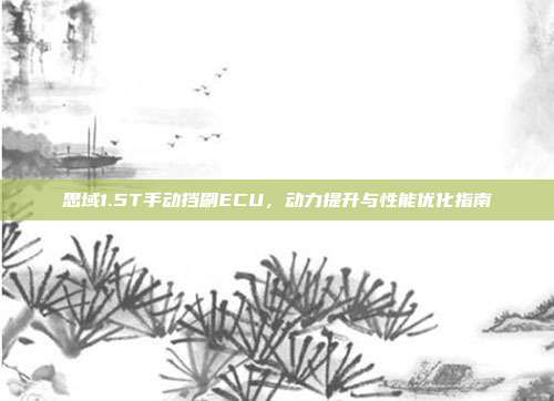 思域1.5T手动挡刷ECU，动力提升与性能优化指南