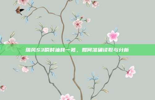 瑞风S3瞬时油耗一览，如何准确读取与分析