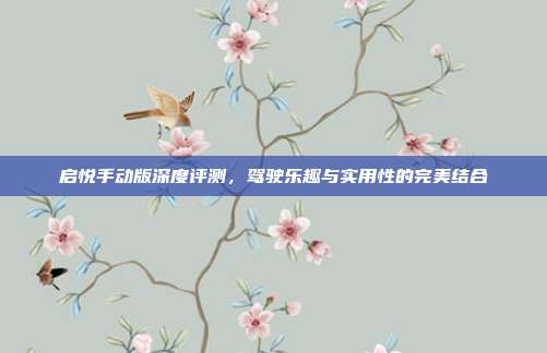 启悦手动版深度评测，驾驶乐趣与实用性的完美结合