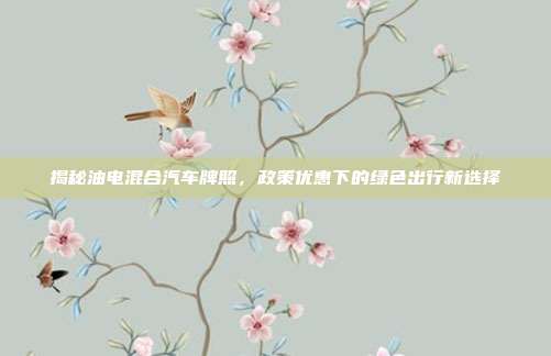 揭秘油电混合汽车牌照，政策优惠下的绿色出行新选择