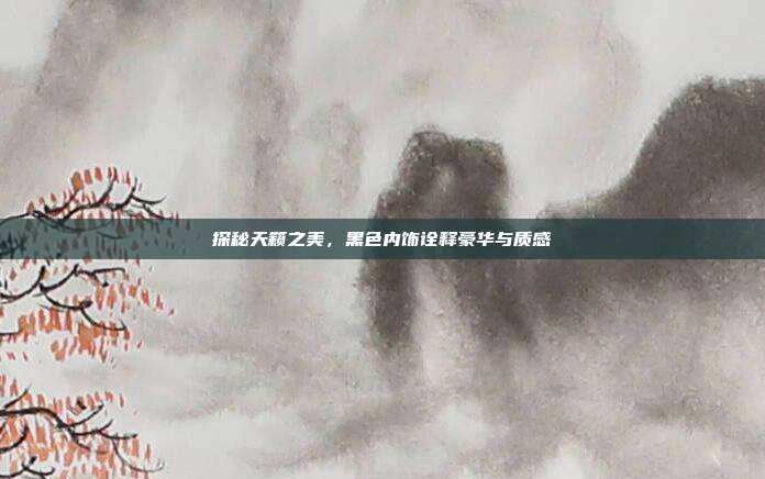 探秘天籁之美，黑色内饰诠释豪华与质感