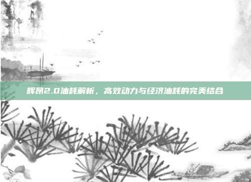 辉昂2.0油耗解析，高效动力与经济油耗的完美结合